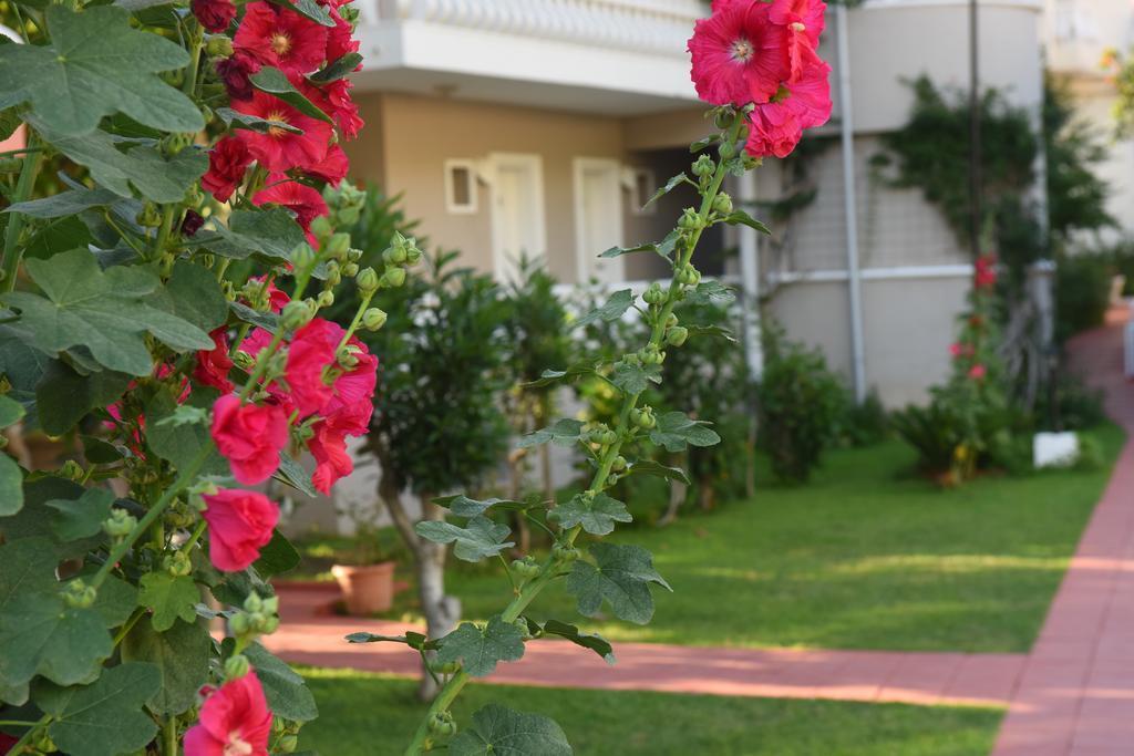 Oludeniz Turquoise Hotel Экстерьер фото